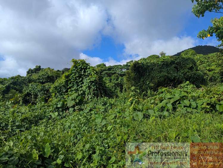 Address withheld Taveuni_17