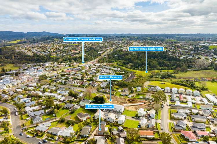 15 Lendic Avenue Henderson_17