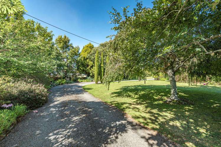 1 Weraroa Road Waverley_5