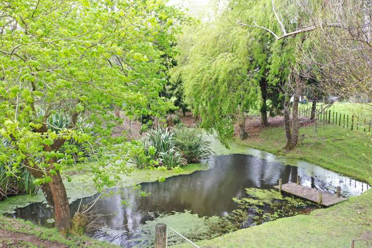 789 Grove Road Karamu_6