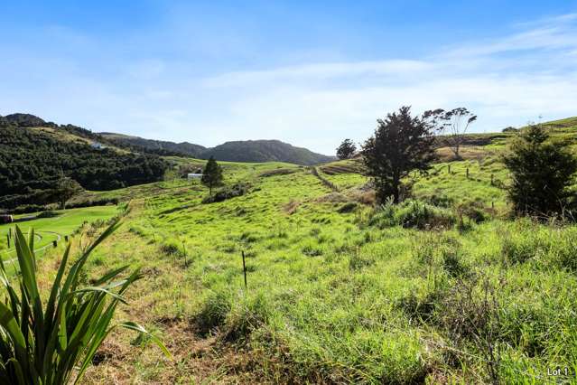 Lots 1&3/101 Brooklands Way Kaiwaka_3