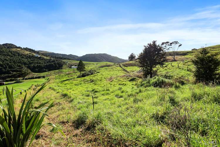 Lots 1&3/101 Brooklands Way Kaiwaka_3