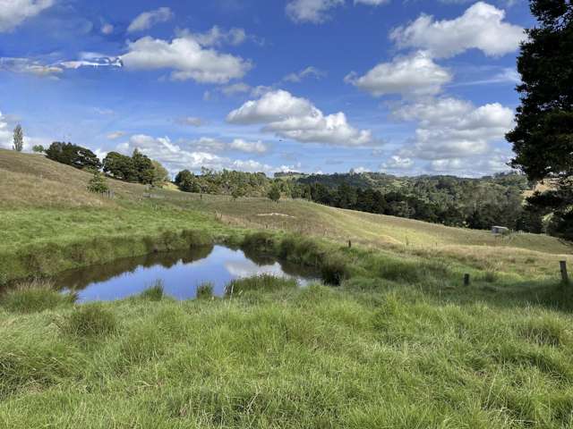 Paparoa Lifestyle Opportunity - 6.8 ha