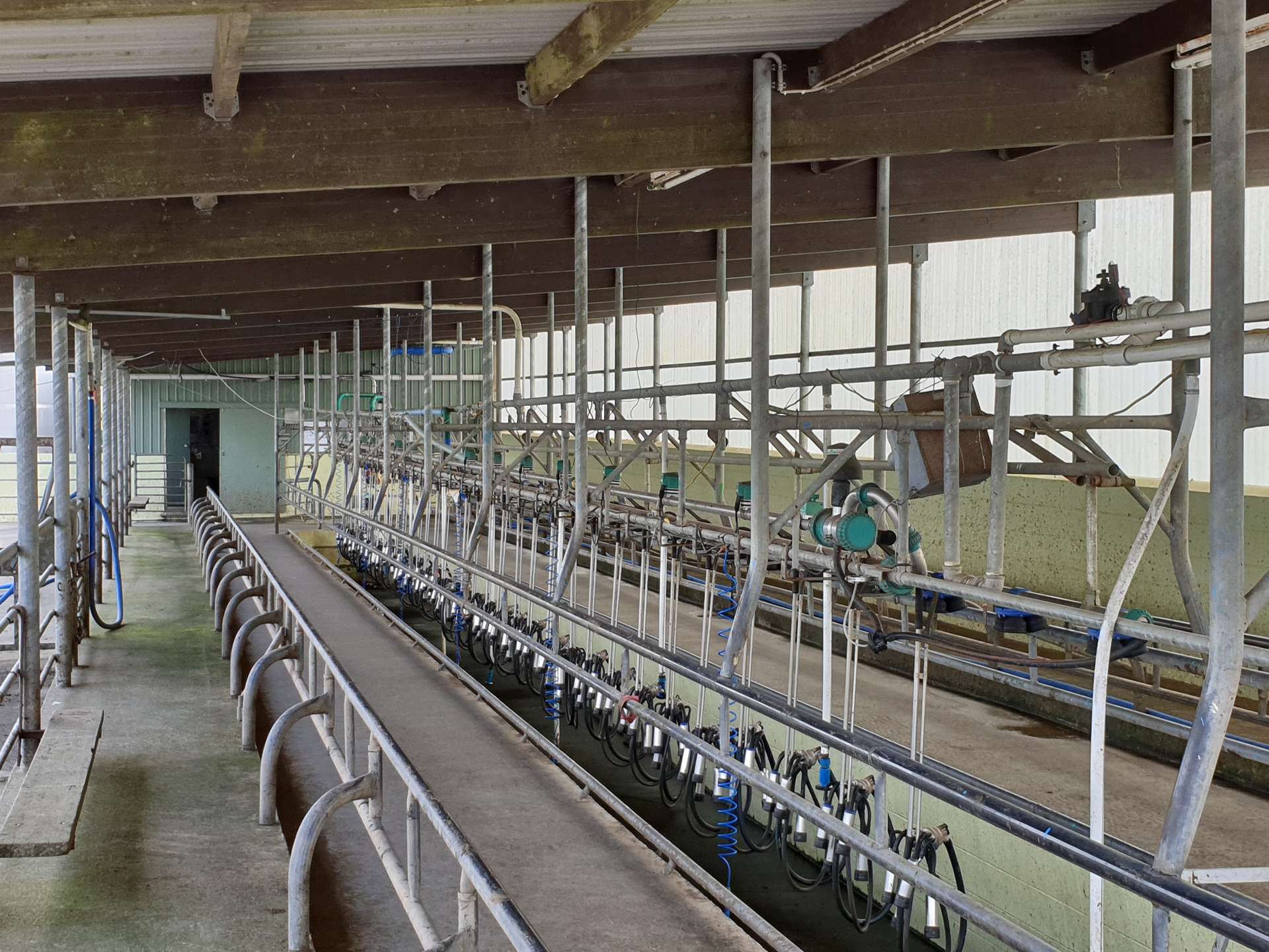 452 Surrey Road Tariki_0