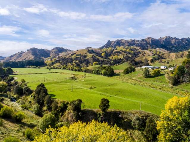 2858 Masterton Castlepoint Road Masterton_2