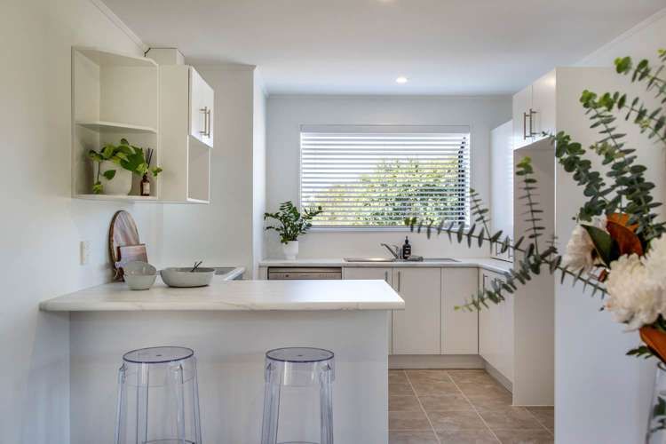 58 Tony Segedin Drive Avondale_6