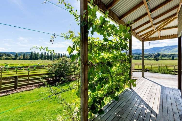 1188 Pohangina Road Pohangina_8