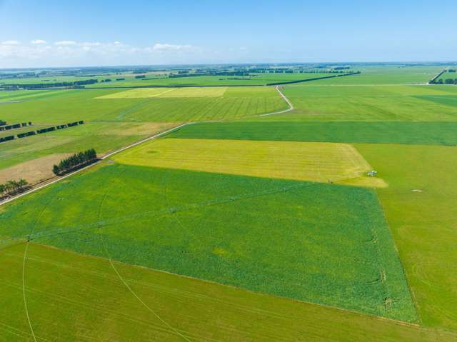 1372 South Two Chain Road Dunsandel_1