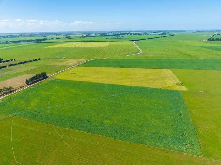 1372 South Two Chain Road Dunsandel_1