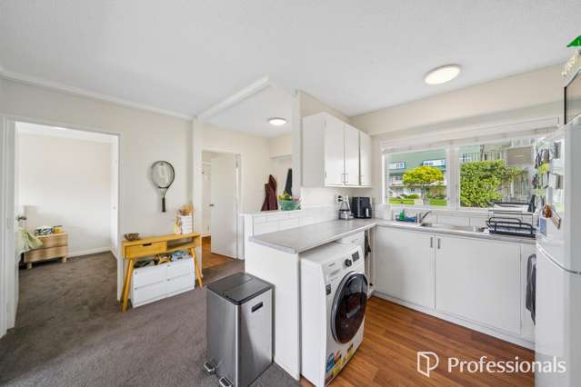 3/25 Britannia Street Petone_3