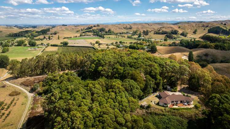 698 Puketitiri Road_0