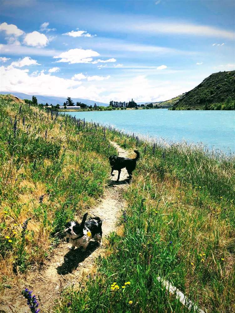 2228 South Eyre Road West Eyreton_3