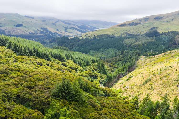 226 Middle Road Pigeon Bay_17