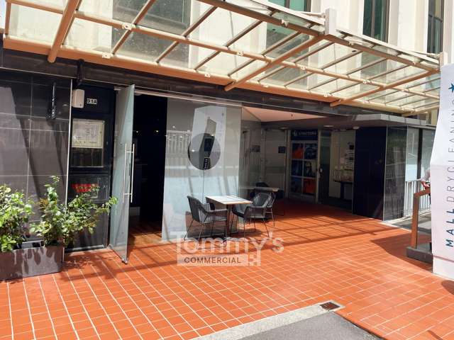 93 The Terrace Wellington Central_4