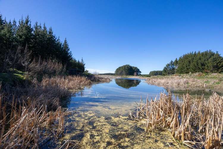 725 Raumai Road Bulls_9