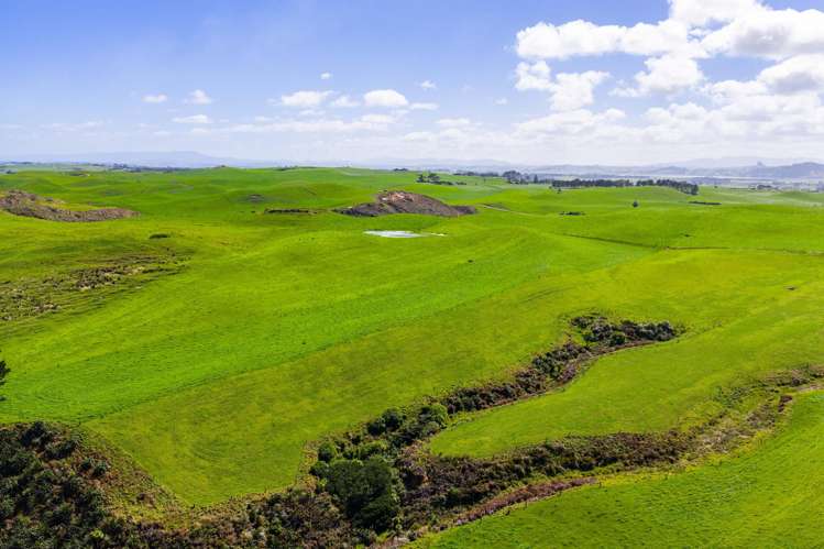 780 Te Maire Road Te Kopuru_22