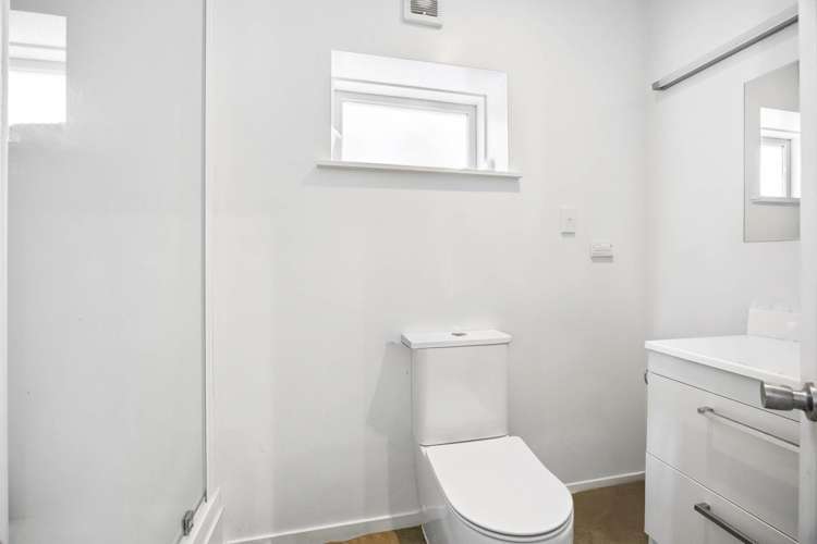 22 Castle Street Grey Lynn_13