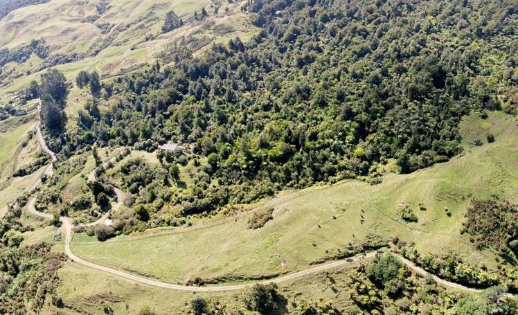 210A Goble Road Komata_38