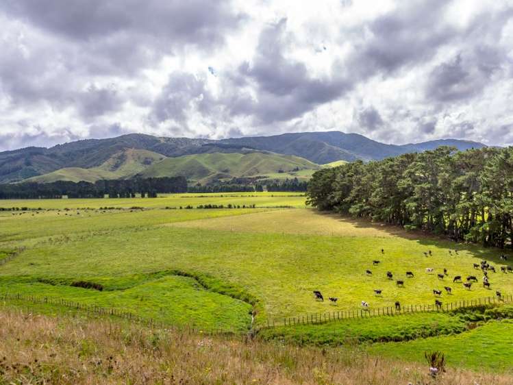 85274 State Highway 2 Eketahuna_7