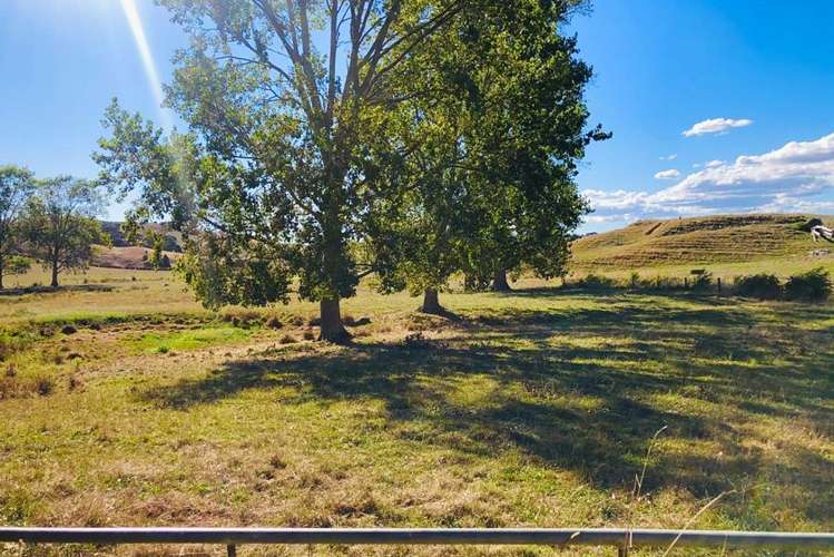 Lot 1 Waerenga Road Te Kauwhata_4