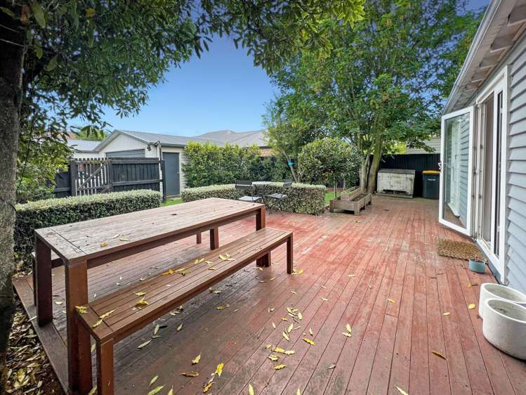 49 Dominion Av Spreydon_16