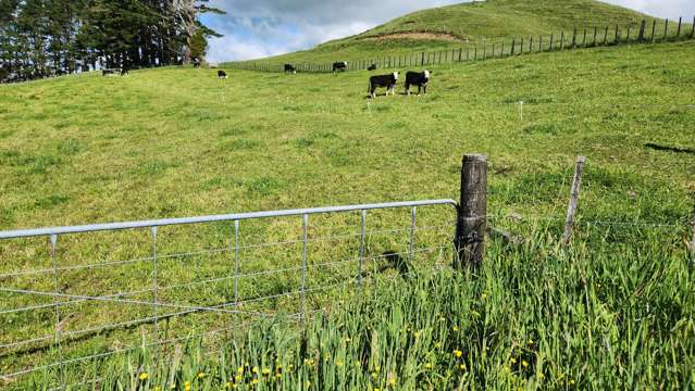 133 Kaimata Road Kaimata_1