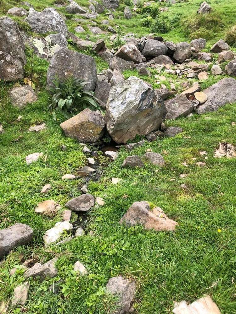 4990 Christchurch Akaroa Road Little River_19