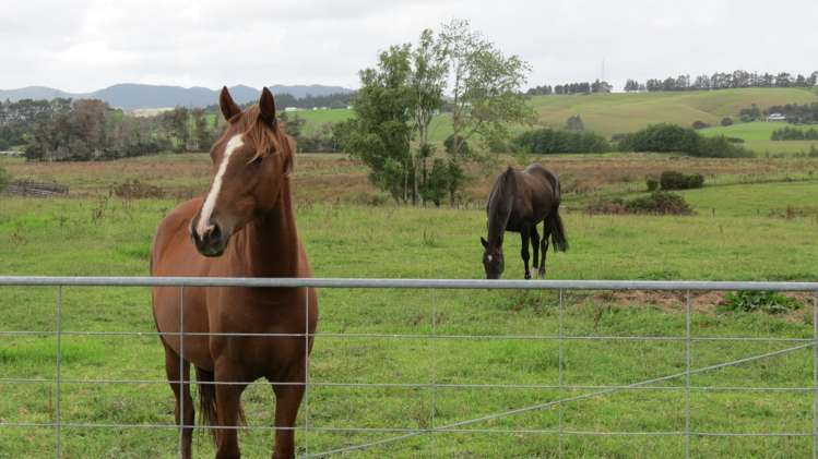 550 Papakura-Clevedon Road Ardmore_6