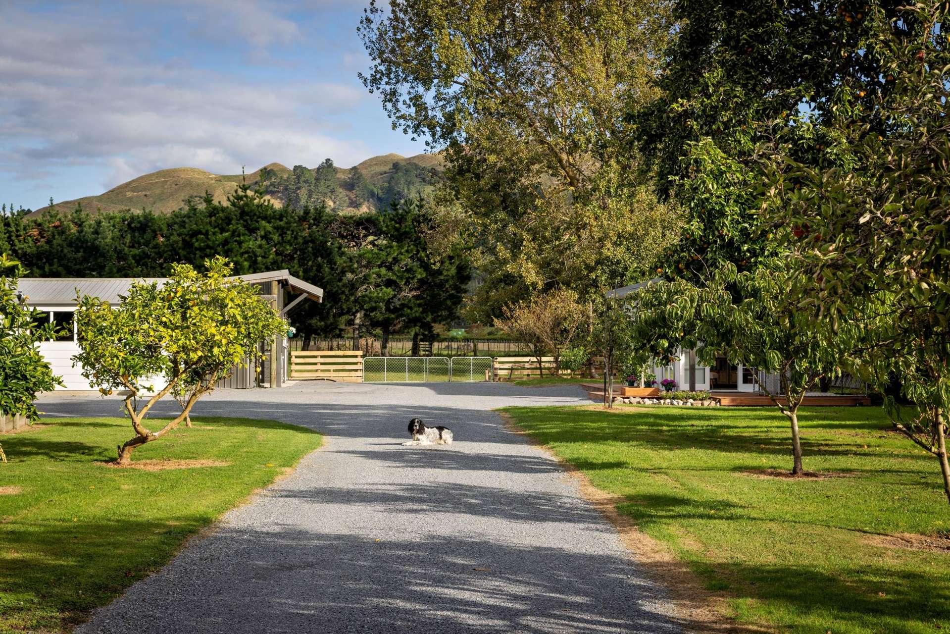 28 Arcus Road Te Horo_0