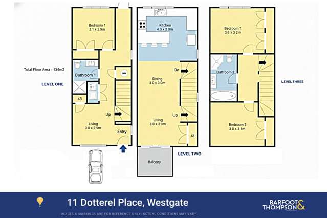 11 Dotterel Place Westgate_1