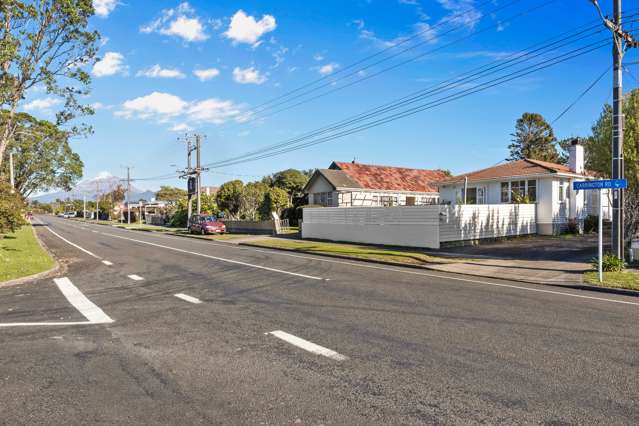 452 Carrington Street Upper Vogeltown_3