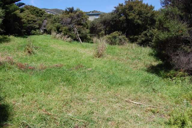 333 Blind Bay Road Great Barrier Island (Aotea Island)_1