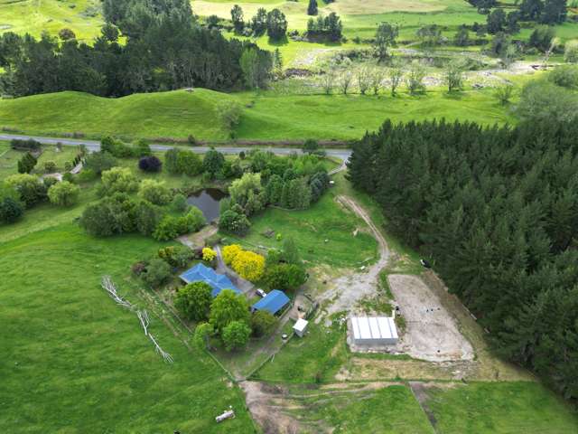 1749 Tutukau Road Wairakei and Surrounds_4