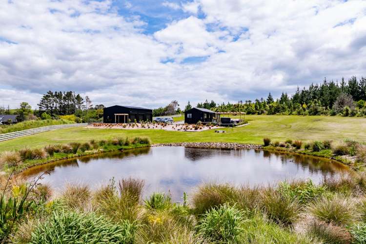 23 Pine Valley Glade Mangawhai_29