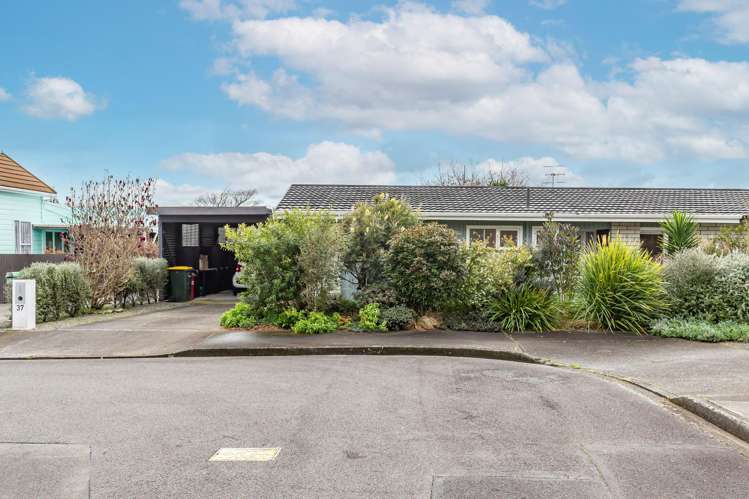 37 Kent Street Levin_15