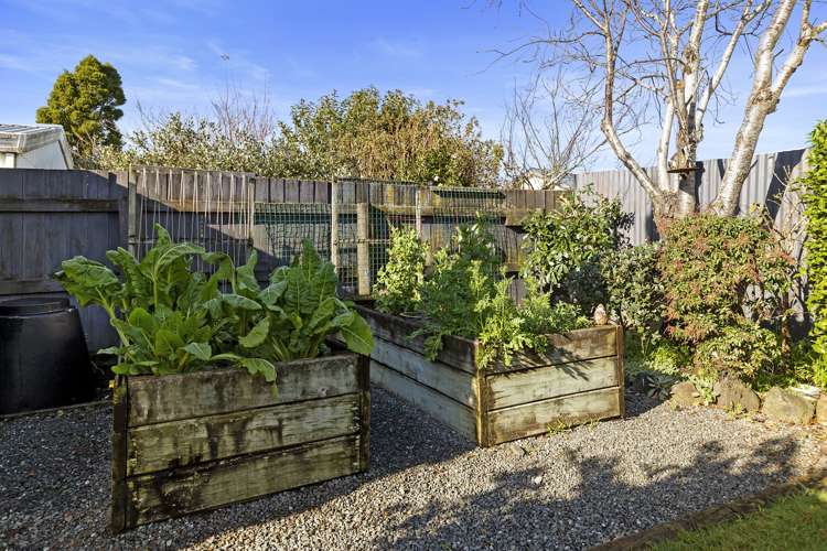 81a Stanley Avenue Te Aroha_18