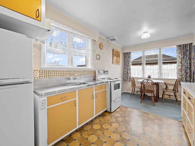 107 Harrison Street Allenton_1