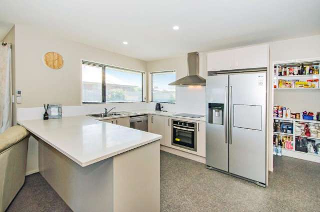 4 Cassini Place Leeston_4
