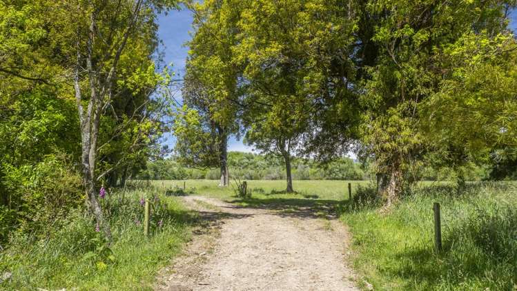 162 Hamua Hukanui Road Eketahuna_14