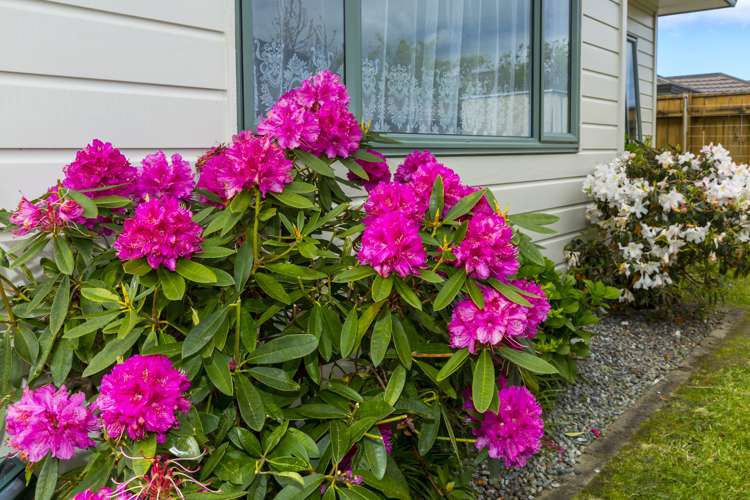 10 Talbot Grove Trentham_17