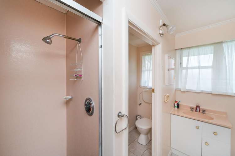 27 Haydon Street Roslyn_12