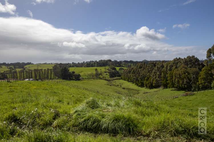 221 Amreins Road Taupaki_3