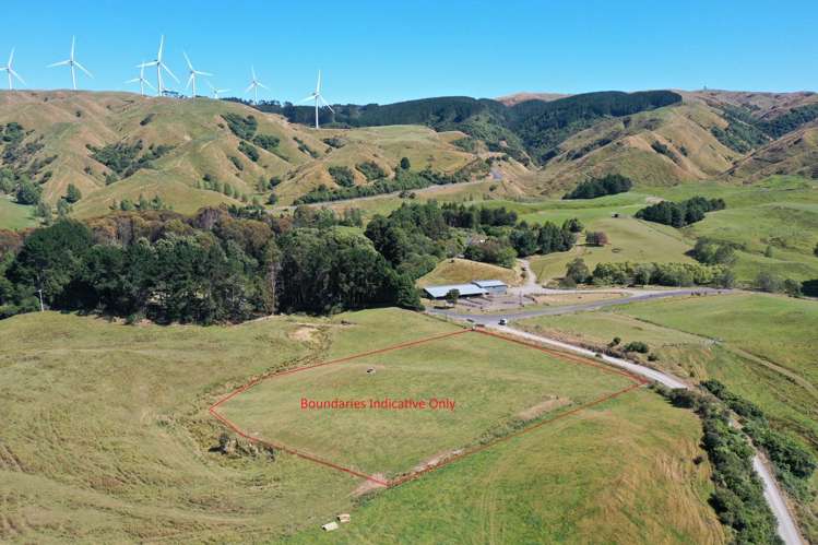 Tararua Road Pahiatua_18