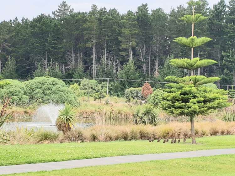 14 Greenburn Way Kaikoura_7