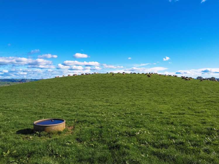 402 Awatane Road Otorohanga_26