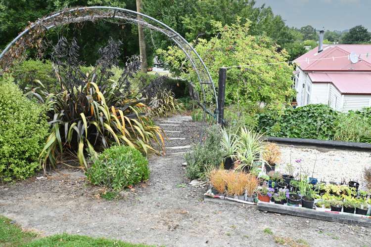 28 Ward Road Cheviot_32