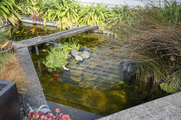 98I Blackrock Road Masterton_19