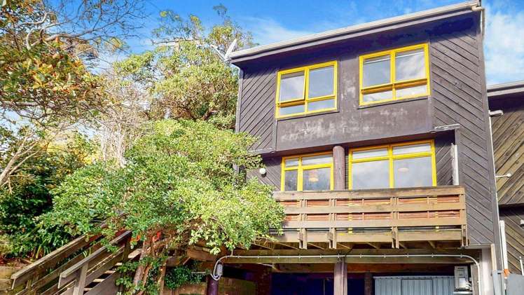 22 Stafford Street Mount Victoria_18