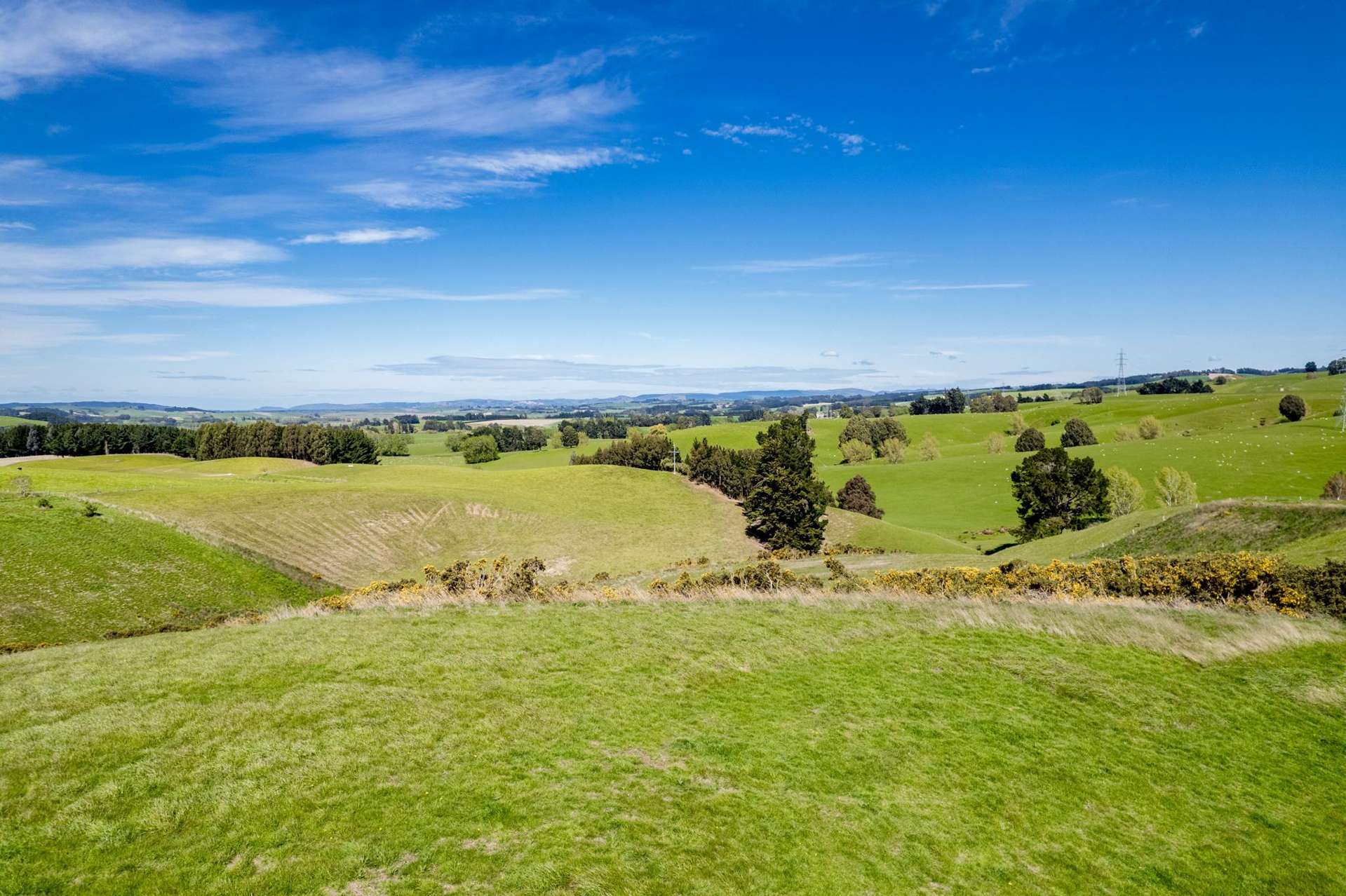 Lot 3 Crichton Road Crichton_0