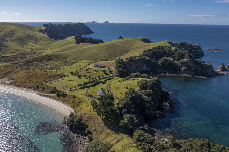 191b Pacific Ocean Slipper Island (Whakahau)_32